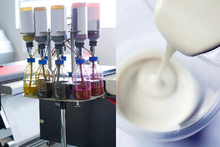 Fine chemical industry